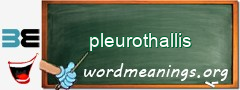 WordMeaning blackboard for pleurothallis